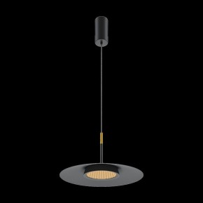 Подвесной светильник Maytoni Halo MOD041PL-L15B3K1 в Южноуральске - yuzhnouralsk.mebel24.online | фото 4