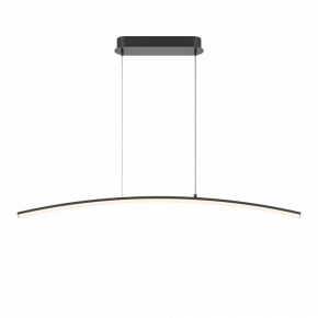 Подвесной светильник Maytoni Light Reflection MOD243PL-L18BK в Южноуральске - yuzhnouralsk.mebel24.online | фото 2