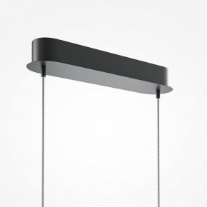 Подвесной светильник Maytoni Light Reflection MOD243PL-L18BK в Южноуральске - yuzhnouralsk.mebel24.online | фото 6