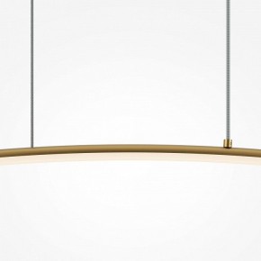 Подвесной светильник Maytoni Light Reflection MOD243PL-L18BSK в Южноуральске - yuzhnouralsk.mebel24.online | фото 4