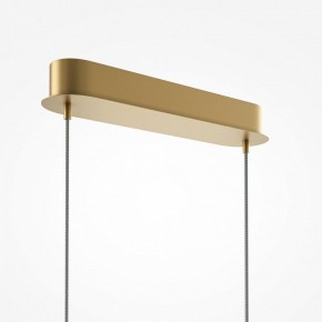 Подвесной светильник Maytoni Light Reflection MOD243PL-L18BSK в Южноуральске - yuzhnouralsk.mebel24.online | фото 5