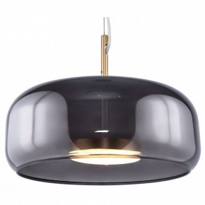 Подвесной светильник Maytoni Madmen MOD127PL-L6SG в Южноуральске - yuzhnouralsk.mebel24.online | фото