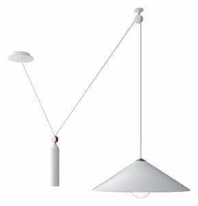 Подвесной светильник Maytoni Peso P080PL-01W в Южноуральске - yuzhnouralsk.mebel24.online | фото 2