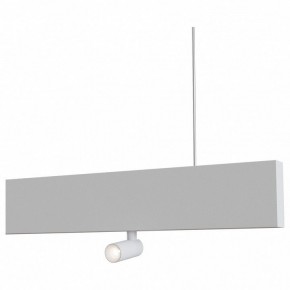 Подвесной светильник Maytoni Puntero P068PL-L27W4K в Южноуральске - yuzhnouralsk.mebel24.online | фото 3
