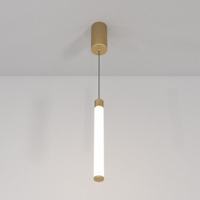 Подвесной светильник Maytoni Ray P022PL-L10MG3K в Южноуральске - yuzhnouralsk.mebel24.online | фото 4