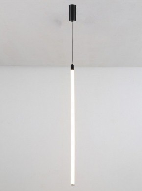 Подвесной светильник Maytoni Ray P022PL-L20B3K в Южноуральске - yuzhnouralsk.mebel24.online | фото 2