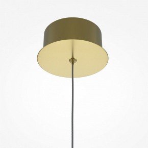 Подвесной светильник Maytoni Splash MOD282PL-L8G3K в Южноуральске - yuzhnouralsk.mebel24.online | фото 5