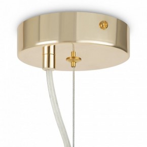 Подвесной светильник Maytoni Tissage MOD490PL-01G в Южноуральске - yuzhnouralsk.mebel24.online | фото 6