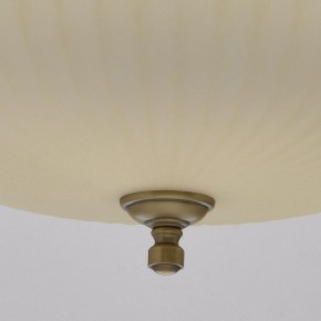 Подвесной светильник MW-Light Афродита 1 317010504 в Южноуральске - yuzhnouralsk.mebel24.online | фото 9