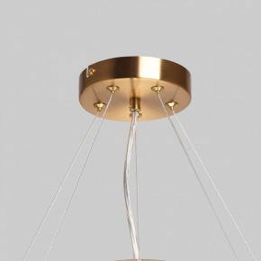 Подвесной светильник MW-Light Илоника 10 451013006 в Южноуральске - yuzhnouralsk.mebel24.online | фото 10