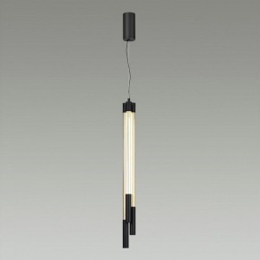 Подвесной светильник Odeon Light Anta 4393/30L в Южноуральске - yuzhnouralsk.mebel24.online | фото 4