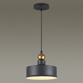 Подвесной светильник Odeon Light Bolli 4088/1 в Южноуральске - yuzhnouralsk.mebel24.online | фото 4