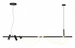 Подвесной светильник Odeon Light Corda 4391/40L в Южноуральске - yuzhnouralsk.mebel24.online | фото 2