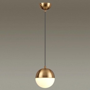 Подвесной светильник Odeon Light Pinga 4960/1 в Южноуральске - yuzhnouralsk.mebel24.online | фото 2