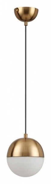 Подвесной светильник Odeon Light Pinga 4960/1 в Южноуральске - yuzhnouralsk.mebel24.online | фото 3