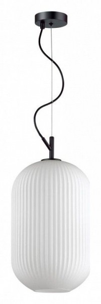 Подвесной светильник Odeon Light Roofi 4752/1 в Южноуральске - yuzhnouralsk.mebel24.online | фото 2