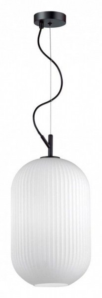 Подвесной светильник Odeon Light Roofi 4752/1 в Южноуральске - yuzhnouralsk.mebel24.online | фото 3