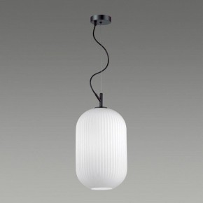 Подвесной светильник Odeon Light Roofi 4752/1 в Южноуральске - yuzhnouralsk.mebel24.online | фото 4