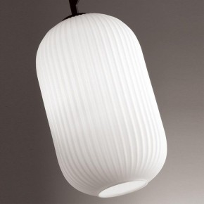 Подвесной светильник Odeon Light Roofi 4752/1 в Южноуральске - yuzhnouralsk.mebel24.online | фото 8