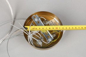 Подвесной светильник Omnilux Cesana OML-67103-08 в Южноуральске - yuzhnouralsk.mebel24.online | фото 9