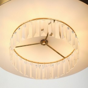 Подвесной светильник Rivoli Vickie Б0061902 в Южноуральске - yuzhnouralsk.mebel24.online | фото 11