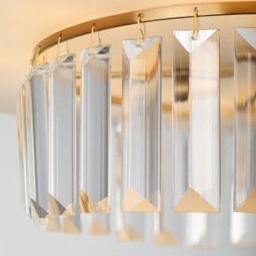 Подвесной светильник Rivoli Vickie Б0061902 в Южноуральске - yuzhnouralsk.mebel24.online | фото 13