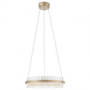 Подвесной светильник ST-Luce Cherio SL383.203.01 в Южноуральске - yuzhnouralsk.mebel24.online | фото 3