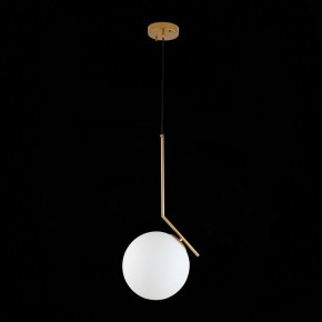 Подвесной светильник ST-Luce Codda SL1148.303.01 в Южноуральске - yuzhnouralsk.mebel24.online | фото 6