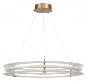 Подвесной светильник ST-Luce FAGY SL6245.203.01 в Южноуральске - yuzhnouralsk.mebel24.online | фото 3