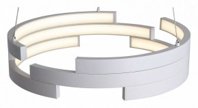 Подвесной светильник ST-Luce Genuine SL963.503.01 в Южноуральске - yuzhnouralsk.mebel24.online | фото