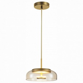 Подвесной светильник ST-Luce Lacio SL6002.203.01 в Южноуральске - yuzhnouralsk.mebel24.online | фото