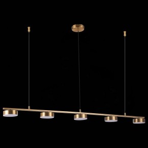 Подвесной светильник ST-Luce Pances SL6000.303.05 в Южноуральске - yuzhnouralsk.mebel24.online | фото 6