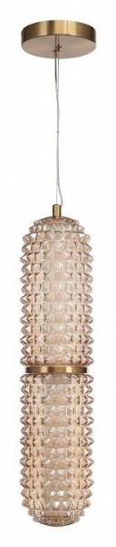 Подвесной светильник ST-Luce SAGUARO SL6144.303.01 в Южноуральске - yuzhnouralsk.mebel24.online | фото 3