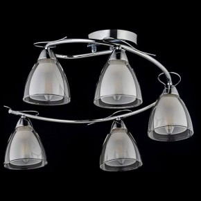 Потолочная люстра Arti Lampadari Paola, Tavenna Nickel Paola E 1.1.5 N в Южноуральске - yuzhnouralsk.mebel24.online | фото 2