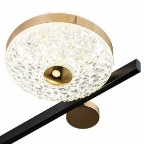 Потолочная люстра Escada Liberta 10219/6LED в Южноуральске - yuzhnouralsk.mebel24.online | фото 6