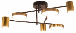 Потолочная люстра Kink Light Рапис 07645-6D,19(20) в Южноуральске - yuzhnouralsk.mebel24.online | фото