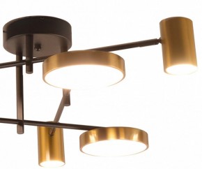 Потолочная люстра Kink Light Рапис 07645-6D,19(20) в Южноуральске - yuzhnouralsk.mebel24.online | фото 2