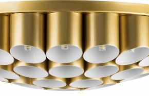 Потолочная люстра Lightstar Siena 720402 в Южноуральске - yuzhnouralsk.mebel24.online | фото 3