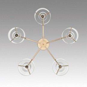 Потолочная люстра Lumion Verdi 6587/5C в Южноуральске - yuzhnouralsk.mebel24.online | фото 4