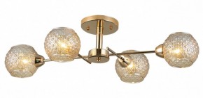 Потолочная люстра Rivoli Amalia Б0050815 в Южноуральске - yuzhnouralsk.mebel24.online | фото 3
