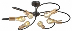 Потолочная люстра Vitaluce V3076 V3076-1/6PL в Южноуральске - yuzhnouralsk.mebel24.online | фото 3