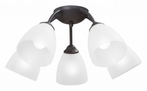 Потолочная люстра Vitaluce V3184 V3737-2/5PL в Южноуральске - yuzhnouralsk.mebel24.online | фото