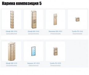 Прихожая Карина (модульная) в Южноуральске - yuzhnouralsk.mebel24.online | фото 2