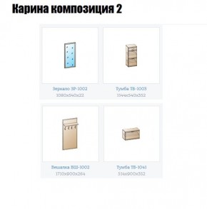 Прихожая Карина (модульная) в Южноуральске - yuzhnouralsk.mebel24.online | фото 6
