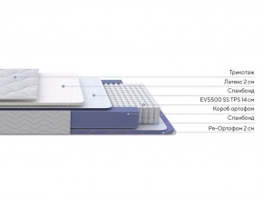 PROxSON Матрас Active Duo S/F (Ткань Трикотаж Эко) 80x195 в Южноуральске - yuzhnouralsk.mebel24.online | фото 2