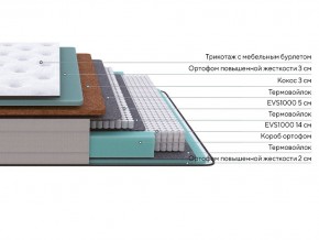 PROxSON Матрас Elysium Firm (Трикотаж Spiral-RT) 80x200 в Южноуральске - yuzhnouralsk.mebel24.online | фото 2