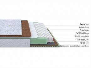 PROxSON Матрас Green Duo M/F (Tricotage Dream) 140x195 в Южноуральске - yuzhnouralsk.mebel24.online | фото 2