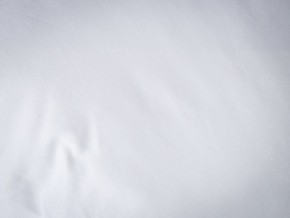 PROxSON Подушка Terra Duo (Сатин Ткань) 50x70 в Южноуральске - yuzhnouralsk.mebel24.online | фото 9