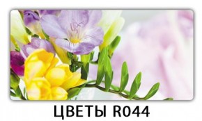 Раздвижной СТ Бриз орхидея R041 Цветы R044 в Южноуральске - yuzhnouralsk.mebel24.online | фото 16