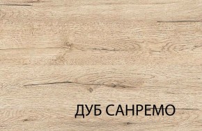 Шкаф 1DM OSKAR , цвет дуб Санремо в Южноуральске - yuzhnouralsk.mebel24.online | фото 4